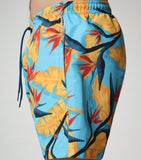 Napapijri VAIL 4 BLUE NP0A4F7KF4C1 Swimsuit Multicolor S / S